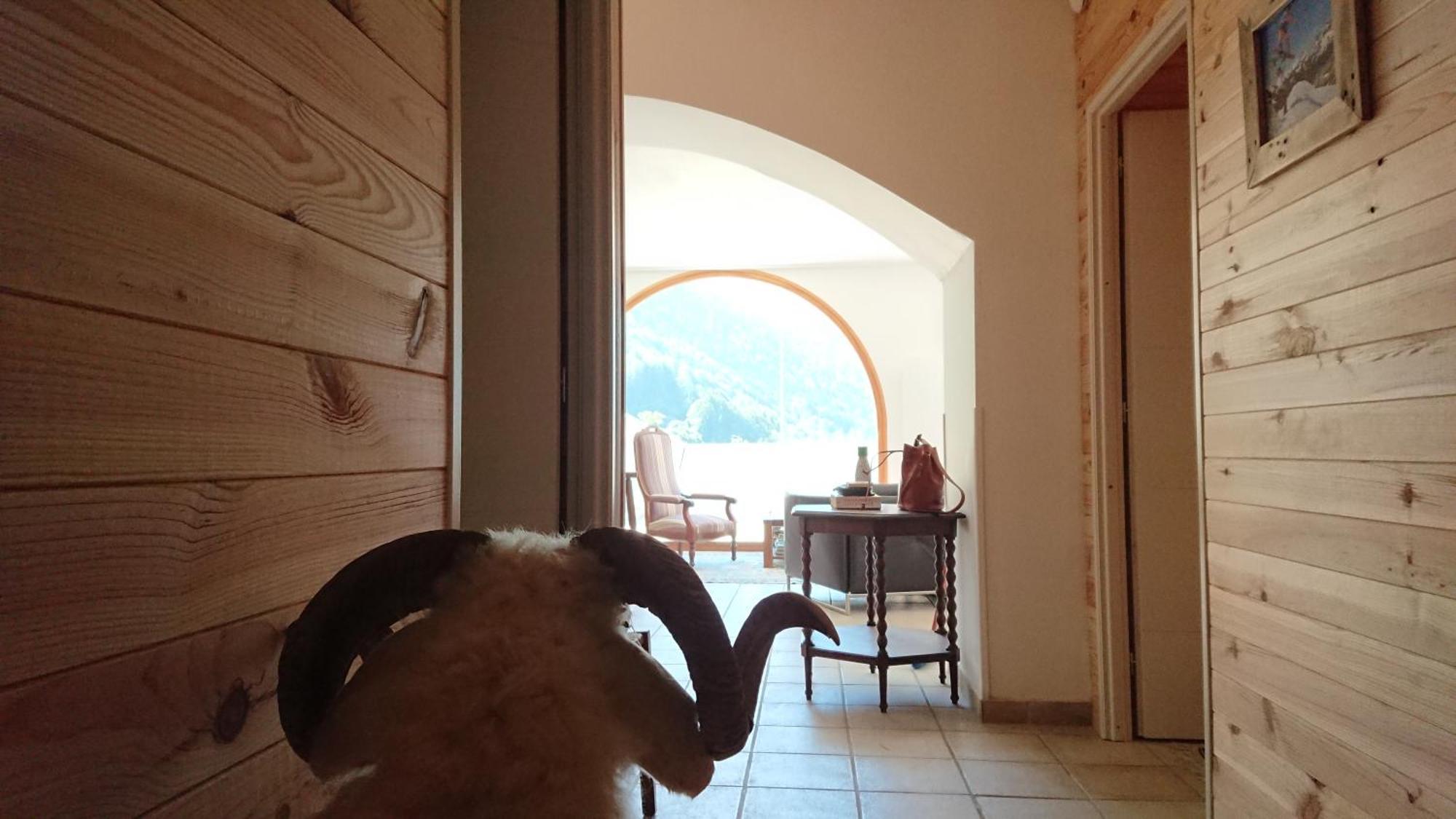 Superbe Logement 12 Pers Famille Ou Groupe. Ларенс Екстер'єр фото